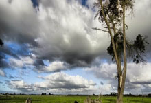 俄罗斯射击选手表现突出